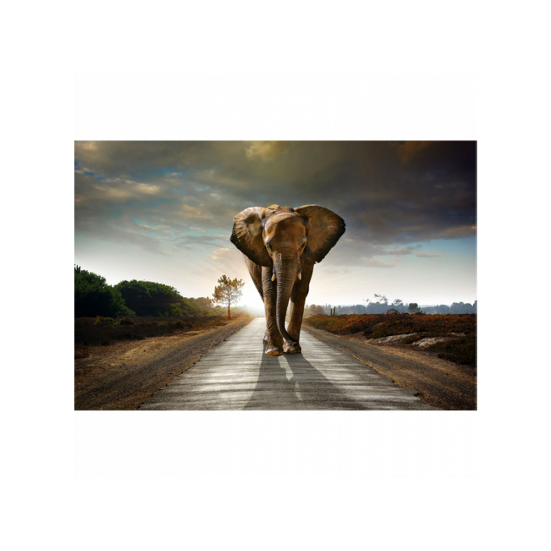 Πίνακας σε καμβά με Ζώα Elephant on the road